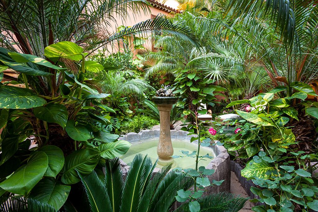 Hotel Livvo La Quinta Roja Garachico  Eksteriør billede